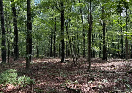 Undeveloped Land for sale in Hampshire County, West Virginia