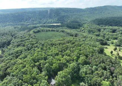 Undeveloped Land for sale in Hampshire County, West Virginia