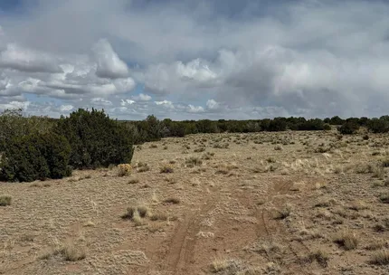 Undeveloped Land for sale in Apache County, Arizona