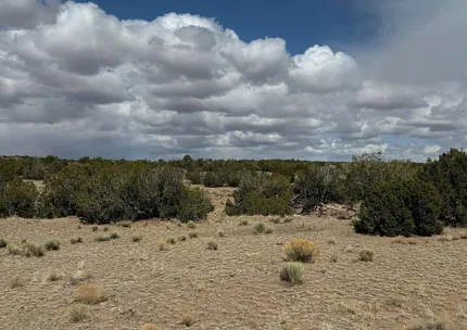 Undeveloped Land for sale in Apache County, Arizona