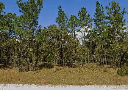 Undeveloped Land for sale in Putnam County, Florida
