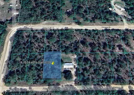Undeveloped Land for sale in Putnam County, Florida