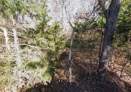 Undeveloped Land for sale in Benton County, Missouri