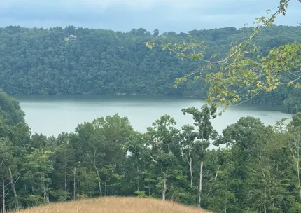 Undeveloped Land for sale in Clinton County, Kentucky