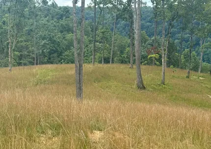 Undeveloped Land for sale in Clinton County, Kentucky