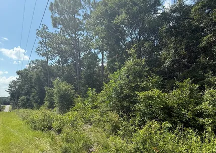 Undeveloped Land for sale in Okaloosa County, Florida