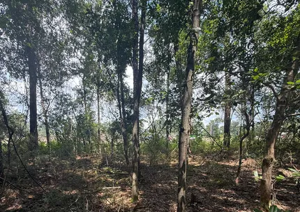 Undeveloped Land for sale in Okaloosa County, Florida
