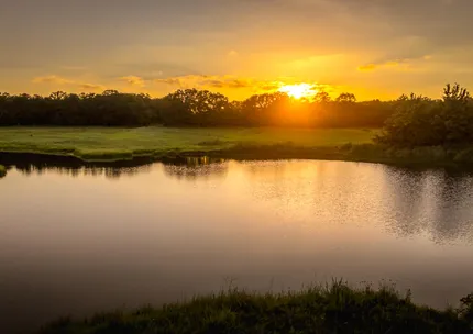 Ranch Property for sale in Wise County, Texas