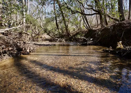 Undeveloped Land for sale in Sequatchie County, Tennessee