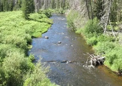 Riverfront Property for sale in Albany County, Wyoming