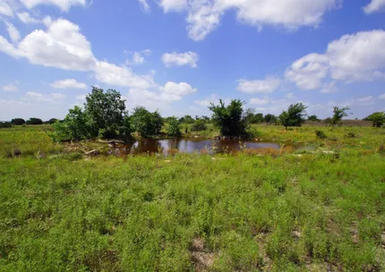 Ranch Property for sale in Burnet County, Texas
