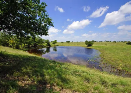 Ranch Property for sale in Burnet County, Texas