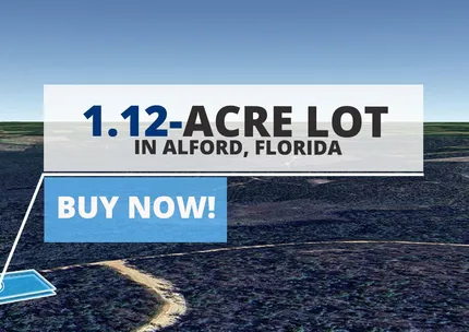 Undeveloped Land for sale in Jackson County, Florida