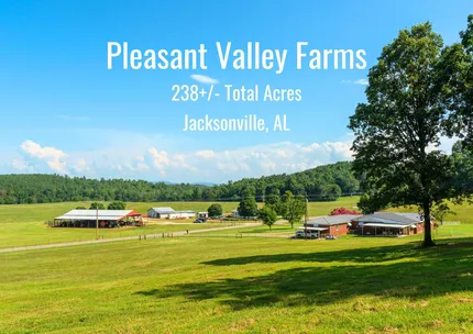 Hunting Land for sale in Calhoun County, Alabama