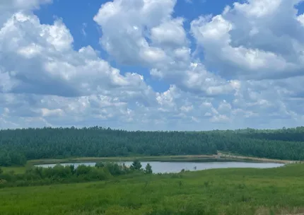Lakefront Property for sale in Shelby County, Alabama