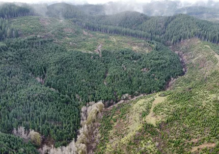 Undeveloped Land for sale in Lincoln County, Oregon