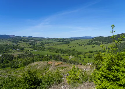 Undeveloped Land for sale in Douglas County, Oregon