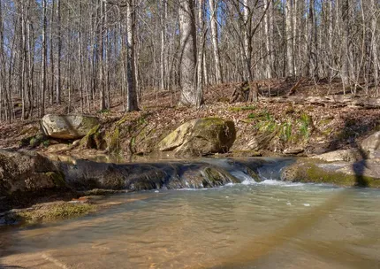 Recreational Property for sale in Oglethorpe County, Georgia