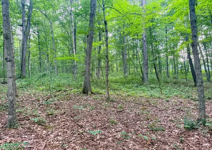 Recreational Property for sale in Gallia County, Ohio