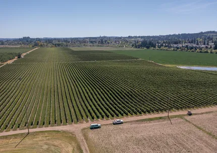 Undeveloped Land for sale in Polk County, Oregon