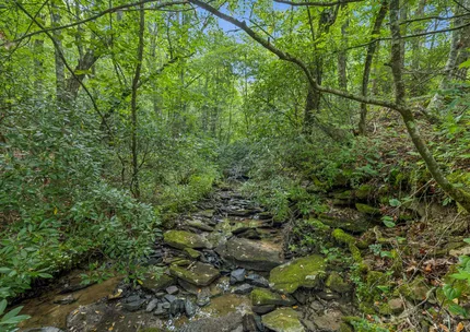 Recreational Property for sale in Morgan County, Tennessee
