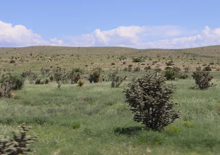 Ranch Property for sale in Otero County, New Mexico