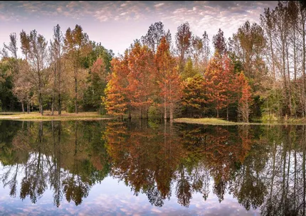 Undeveloped Land for sale in Franklin County, Texas