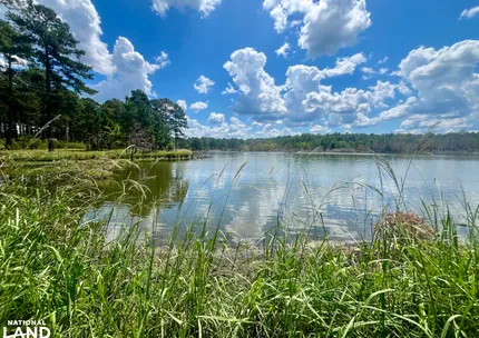 Property for sale in Bullock County, Alabama