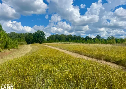 Property for sale in Bullock County, Alabama
