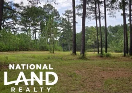 Property for sale in Bullock County, Alabama