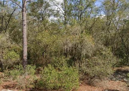 Undeveloped Land for sale in Putnam County, Florida