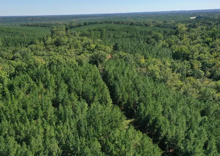Riverfront Property for sale in Crawford County, Georgia