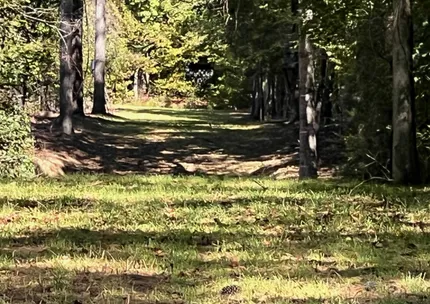 Riverfront Property for sale in Crawford County, Georgia