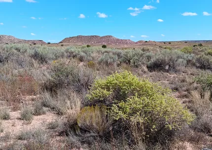 Property for sale in Apache County, Arizona
