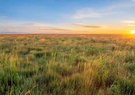 Ranch Property for sale in Bailey County, Texas