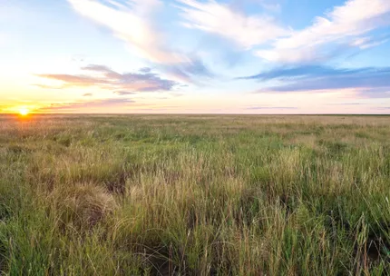 Ranch Property for sale in Bailey County, Texas
