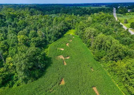 Undeveloped Land for sale in Champaign County, Ohio