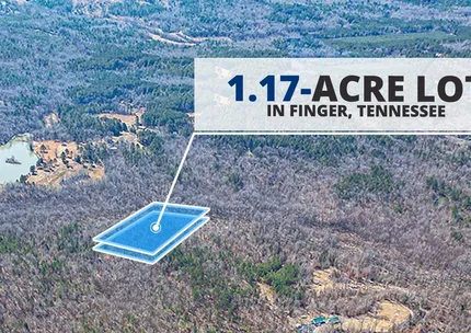 Undeveloped Land for sale in McNairy County, Tennessee
