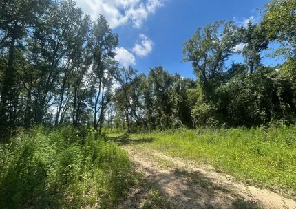 Undeveloped Land for sale in Mobile County, Alabama
