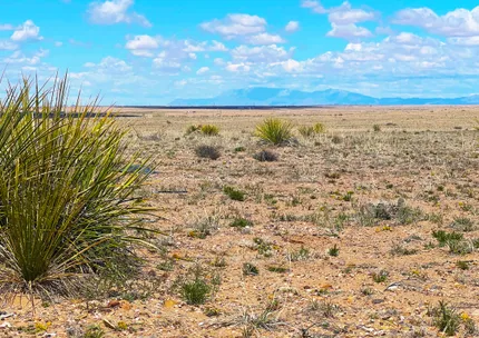 Property for sale in Socorro County, New Mexico