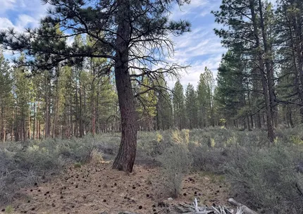 Recreational Property for sale in Klamath County, Oregon