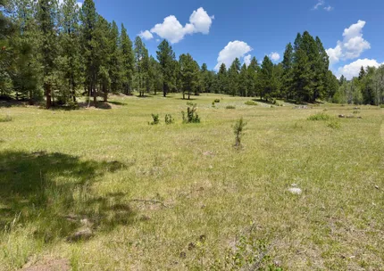 Riverfront Property for sale in Rio Arriba County, New Mexico