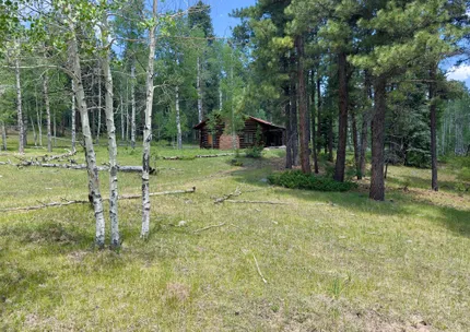 Riverfront Property for sale in Rio Arriba County, New Mexico