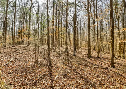 Ranch Property for sale in Pike County, Georgia