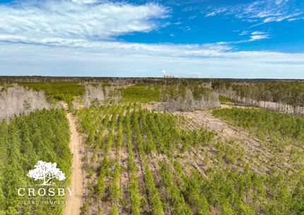 Timberland Property for sale in Berkeley County, South Carolina