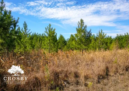 Timberland Property for sale in Berkeley County, South Carolina