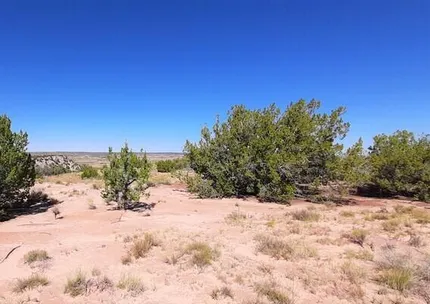 Recreational Property for sale in Apache County, Arizona