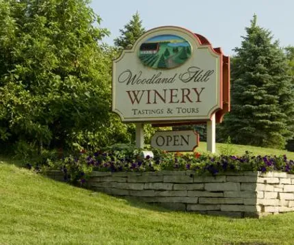 731 County Road 30 SE, Delano, MN 55328