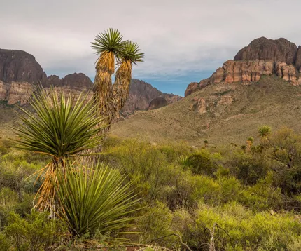 10,322 acres in Sierra Blanca, TX, 79851 MLS: Diamond Eagle