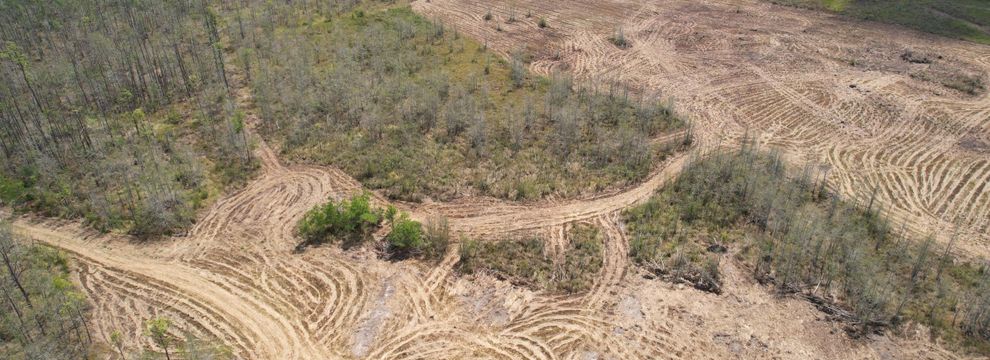 Hunting Land for sale in Newton County, Texas